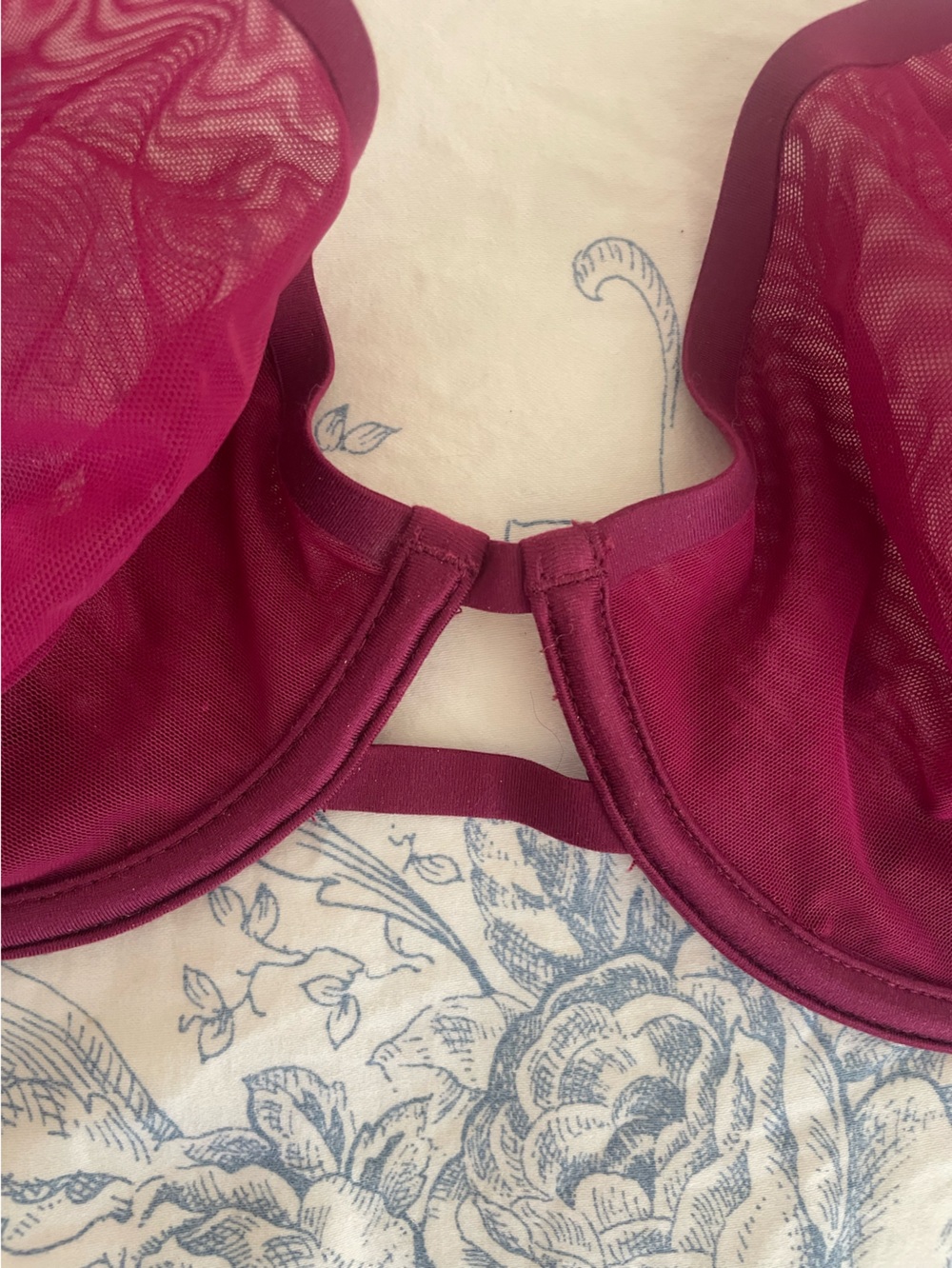 Auden Sheer Underwire Bra in Berry